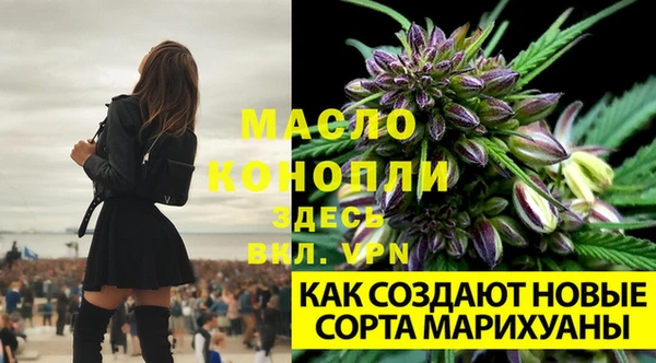 каннабис Бородино