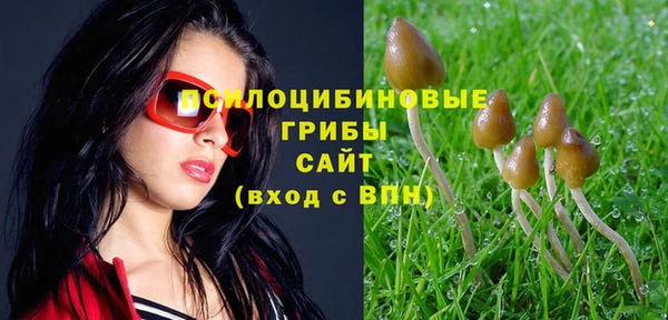 не бодяженный Верея